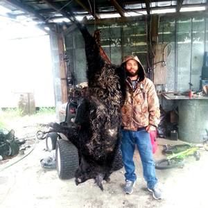 Meet your Posher, David